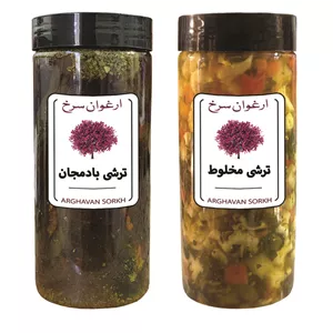ترشی بادمجان و ترشی مخلوط با سبزی ارغوان سرخ - 1500 گرم