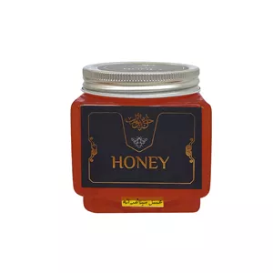 عسل طبیعی سیاهدانه حاج ابوتراب - 500 گرم