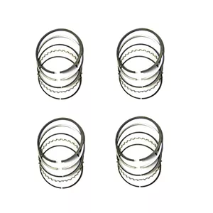 رینگ ریک کد 61224 مناسب برای پژو 206 تیپ 2 بسته 20 عددی