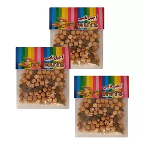 نخود چی شور و کشمش نایبی - 50 گرم بسته 3 عددی