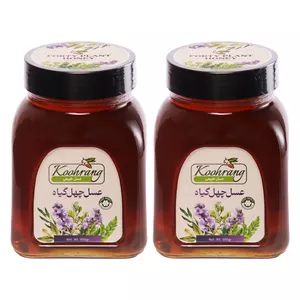 عسل طبیعی چهل گیاه زاگرس رویال کندو کوهرنگ - 900 گرم بسته 2 عددی