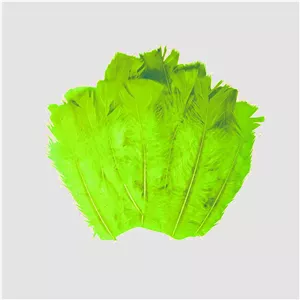 پر دریم کچر مدل SBF45 بسته 20 عددی