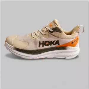 کفش مخصوص دویدن مردانه هوکا مدل Gore-TEX ATR 7