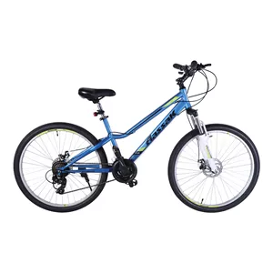 دوچرخه کوهستان آساک مدل تیوان کد E-505-5272109 سایز طوقه 27.5 اینچ