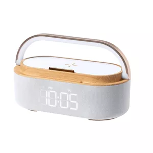 رادیو اسپیکر FM مدل WS-w29 دارای Bluetooth