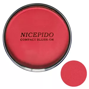 رژگونه نایسپیدو شماره 211