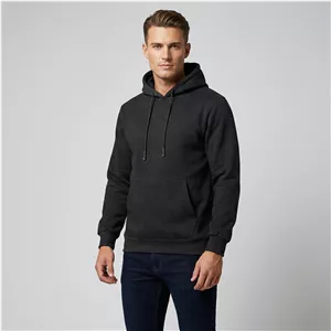 هودی مردانه باینت کد 590-1