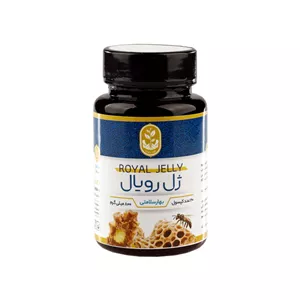 کپسول ژل رویال فروردین بسته 20 عددی