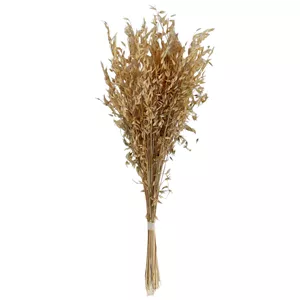 گل خشک مدل جو دو سر بزرگ