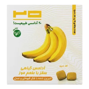 آدامس طبیعی سقز موزی بیست - ۲۰ گرم