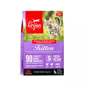 غذای خشک گربه نابالغ اوریجن مدل Kitten 1.8 با طعم مرغ، بوقلمون، ماهی و تخم‌مرغ وزن ۱.۸ کیلوگرم