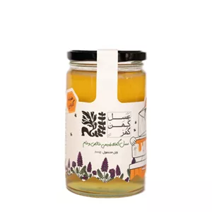عسل طبیعی گز انگبین کهن گهر - 800 گرم
