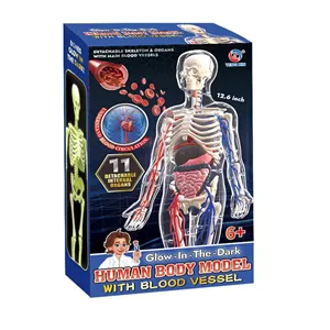 بازی آموزشی تنگ ژین مدل مولاژ بدن انسان کد WPX--016