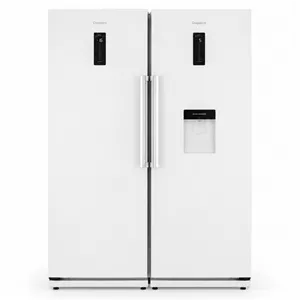 یخچال و فریزر دوقلو دیپوینت 40 فوت مدل D5iU 
