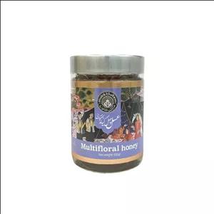عسل طبیعی چهل‌گیاه ملک خاتون - 450 گرم