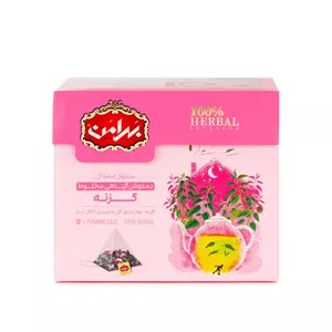دمنوش گزنه کیسه هرمی بهرامن بسته 12 عددی