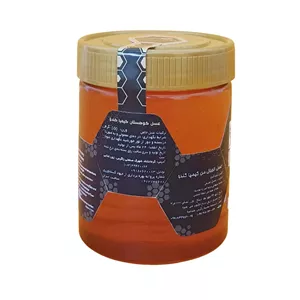 عسل کوهستان کیمیا کندو - 500 گرم 