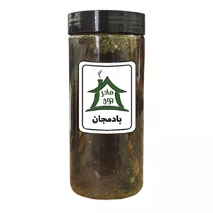 ترشی بادمجان خونه مادرجون - 700 گرم