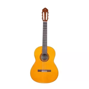 گیتار مدل پارسی P80