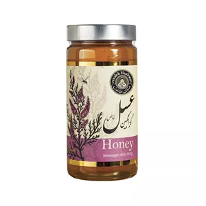 عسل طبیعی گزانگبین ملک خاتون - 850 گرم