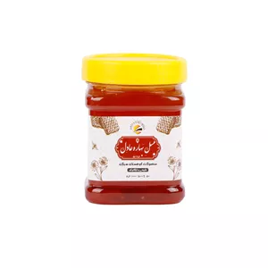 عسل طبیعی کوهستان سبلان - 500 گرم
