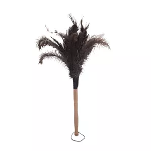 گردگیر بزرگ شترمرغ مدل BINA