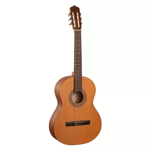 گیتار پارسی مدل M2 کد 4/4