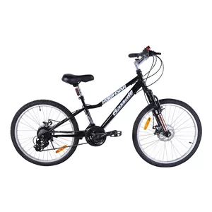 دوچرخه کوهستان آساک مدل کسرا کد C-305-5242102 سایز طوقه 24 اینچ