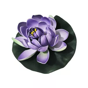 گیاه تزیینی آکواریوم مدل نیلوفر رو آبی کد Ni1
