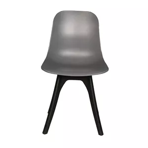 صندلی مدل آرین پایه پلاستیکیAT