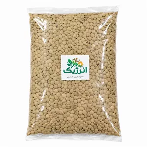 عدس سبز انرژیک - ۱۰۰۰ گرم