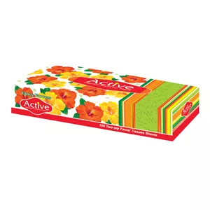 دستمال کاغذی 100 برگ 2 لایه اکتیو مدل Fancy