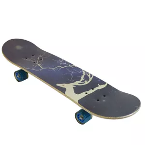 اسکیت بورد مدل HG-3108D Galaxy کد 2178