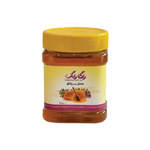 عسل طبیعی ییلاق گلهای رنگارنگ - 500 گرم