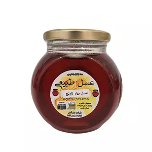 عسل طبیعی بهارنارنج درجه یک - 450 گرم