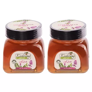 عسل طبیعی گون زاگرس رویال کندو کوهرنگ - 450 گرم بسته 2 عددی