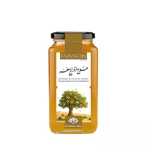 عسل بهار نارنج فروردین - 650 گرم