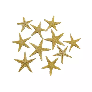 ستاره دریایی تزیینی مدل star01 مجموعه 10 عددی