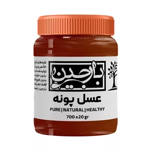 عسل پونه عموعطار بارجین _ 700 گرم  
