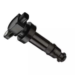 کویل هیوندای جنیون پارتز کد 273012B010