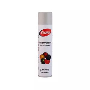   اسپری رنگ خاکستری روشن کاسپین مدل Professional حجم 300 میلی لیتر