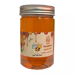 عسل طبیعی گل های کوهستانی سانته‌لند - 600 گرم