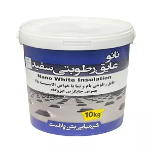 نانو عایق رطوبتی سفید بام بتن پلاست مدل IW100-N وزن 10 کیلوگرم