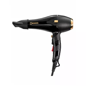 سشوار حرفه ای ۶۰۰۰ وات دسینی مدل DS-5581 
