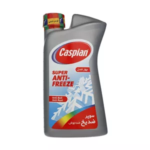 ضد یخ و ضد جوش کاسپین مدل چهار فصل حجم 1 لیتر