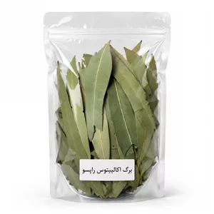 برگ اکالیپتوس - ۲۰ گرم 