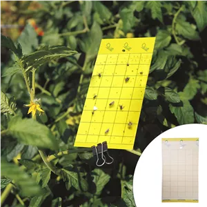 چسب حشره کش پالیز مهار مدل 1614 بسته 10 عددی