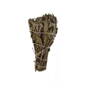 اسماج مدل مریم‌گلی کالیفرنیایی