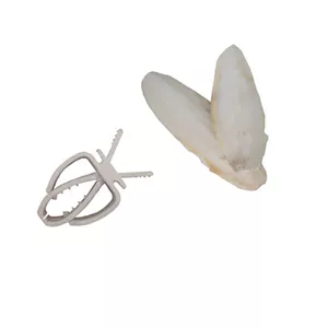  کف دریا کد 7004 وزن 700 گرم به همراه گیره کلیپسی