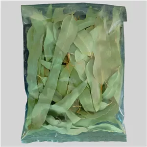 برگ اکالیپتوس خشک شده - 50 گرم